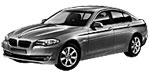BMW F10 P234B Fault Code